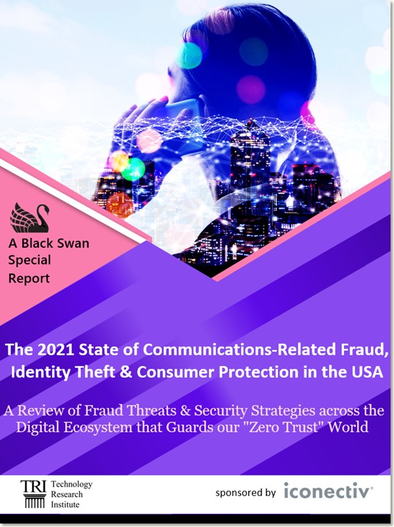 The State of Communications-Related Fraud Identity and Consumer Protection in the USA