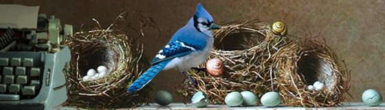 The Bluejay Speaks: How to Rise above the Chatter, Grow Followers, and Deliver Rich, Powerful Content on the Web